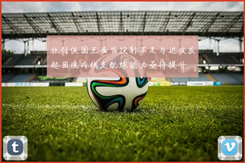 独行侠国王面临投射不足与进攻发起困境内线支配球能力亟待提升