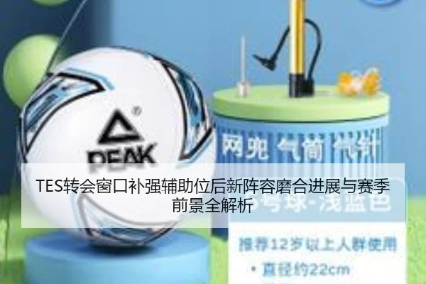 TES转会窗口补强辅助位后新阵容磨合进展与赛季前景全解析（BSports）